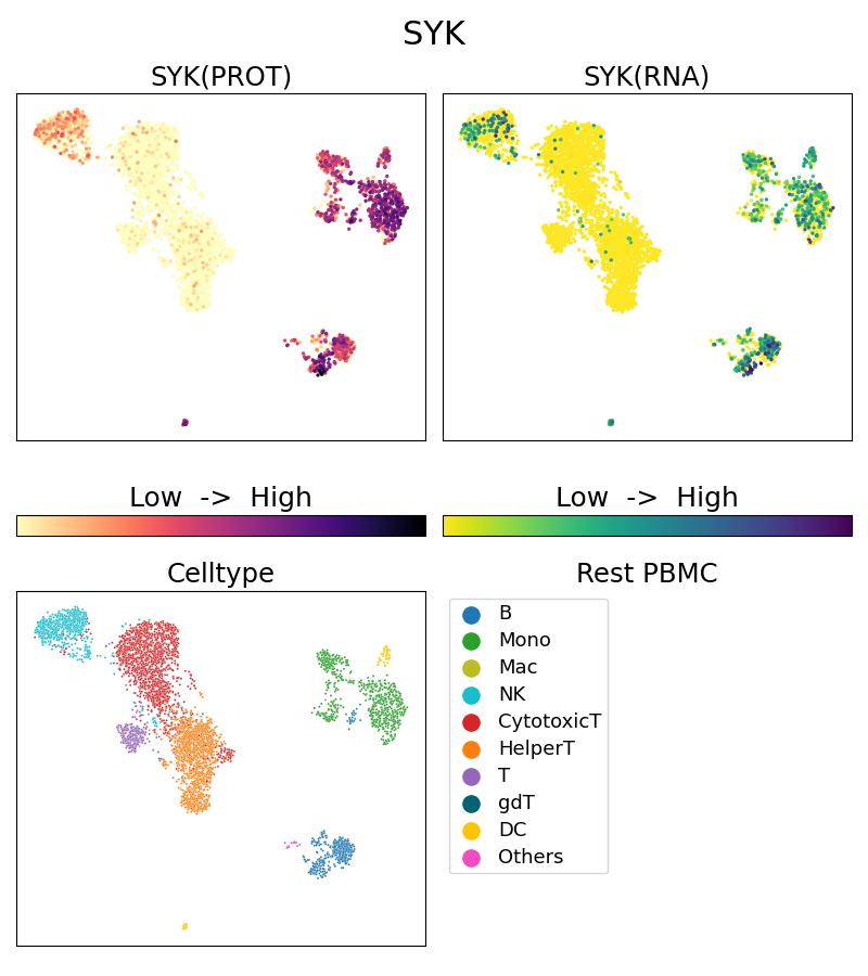 Single Cell Sequencing experiment G66721-1-5C on Resting PBMC