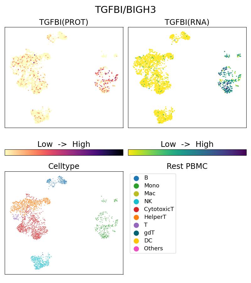 Single Cell Sequencing experiment G60007-1-5C on Resting PBMC