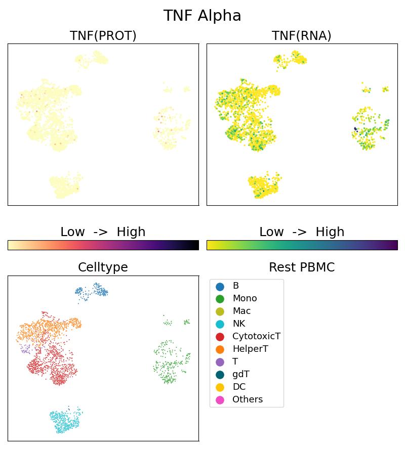 Single Cell Sequencing experiment G60291-1-5C on Resting PBMC