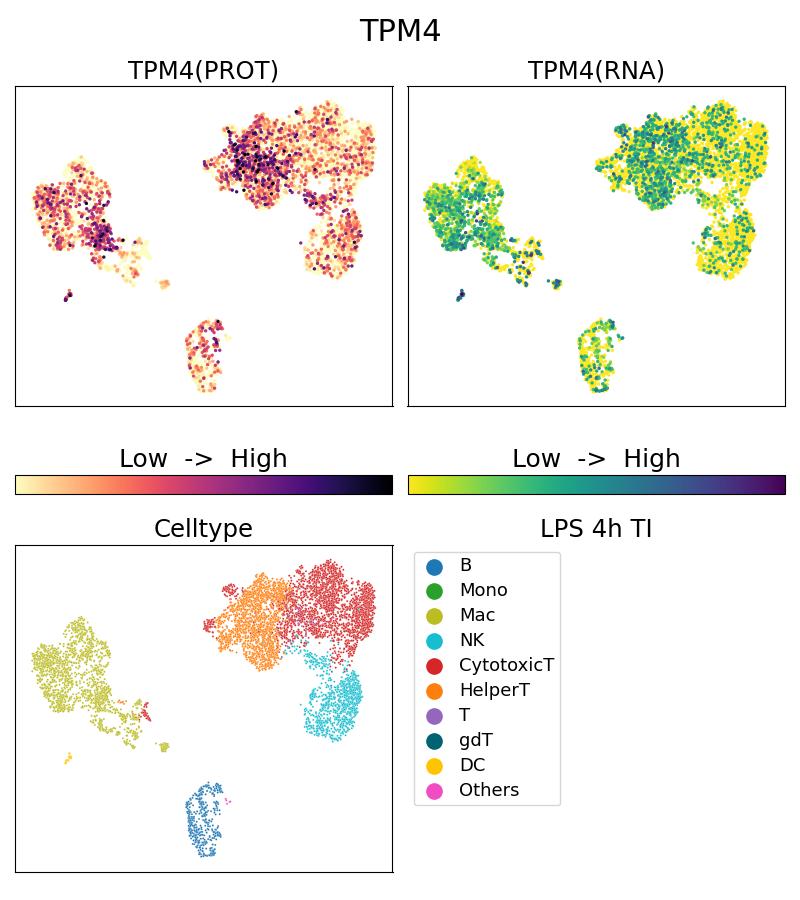 Single Cell Sequencing experiment G67244-1-5C on PBMC treated with 4hr LPS + TI