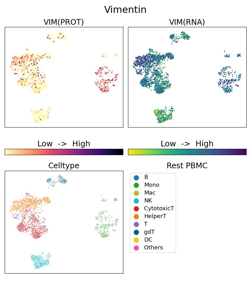 Single Cell Sequencing experiment G60330-1-5C on Resting PBMC