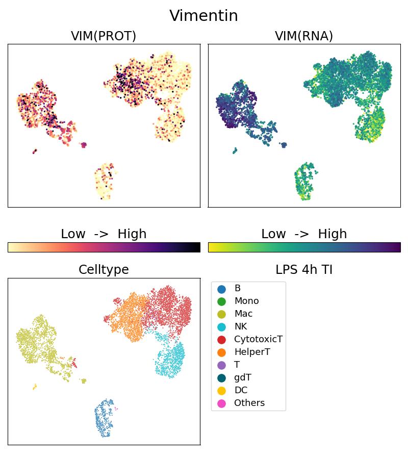 Single Cell Sequencing experiment G60330-1-5C on PBMC treated with 4hr LPS + TI