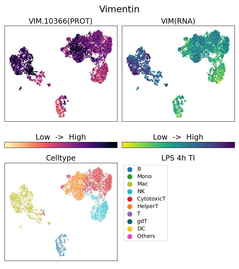 Single Cell Sequencing experiment G10366-1-5C on PBMC treated with 4hr LPS + TI