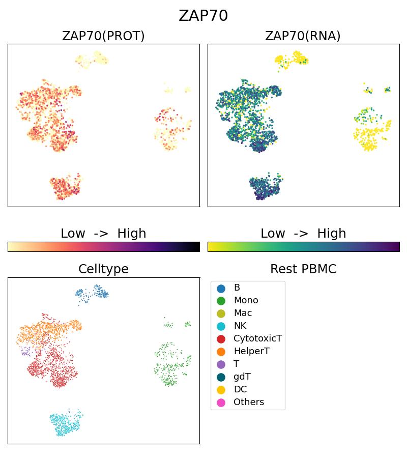 Single Cell Sequencing experiment G60200-1-5C on Resting PBMC