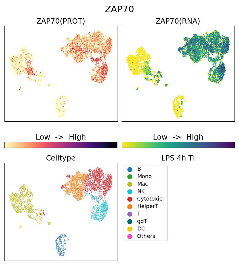 Single Cell Sequencing experiment G60200-1-5C on PBMC treated with 4hr LPS + TI