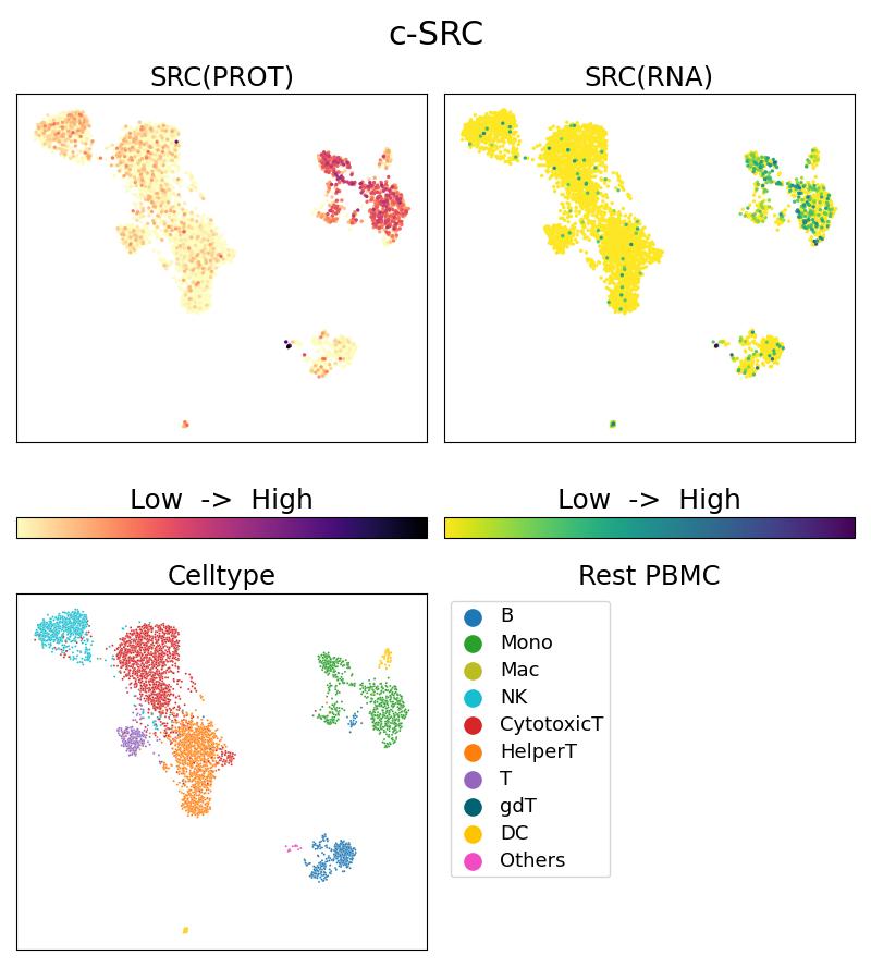 Single Cell Sequencing experiment G60315-1-5C on Resting PBMC