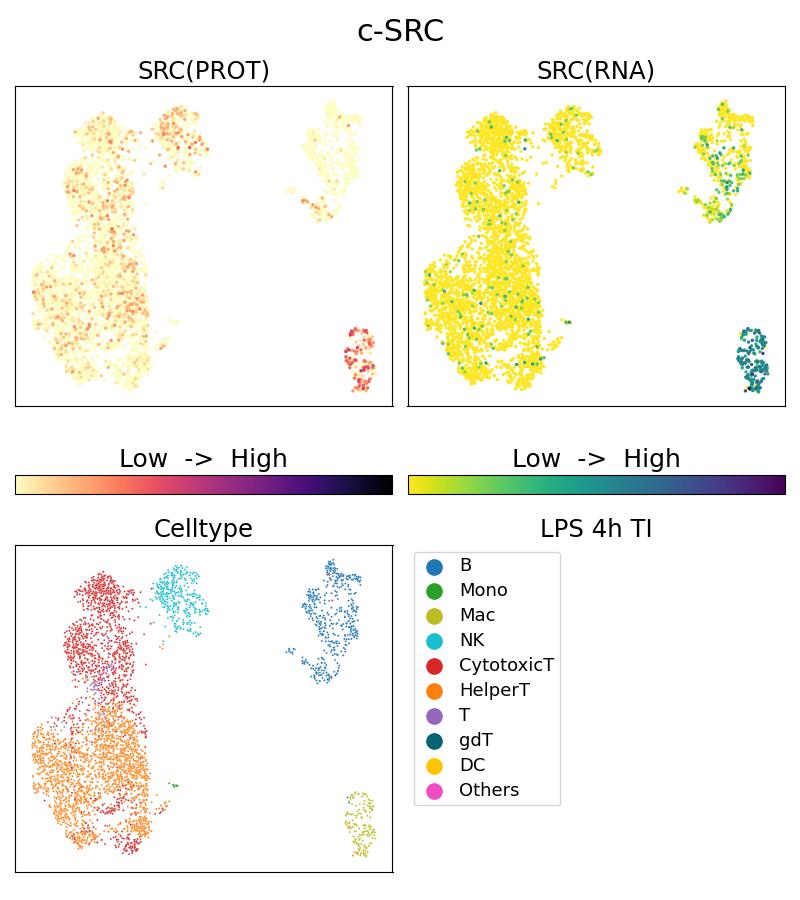 Single Cell Sequencing experiment G60315-1-5C on PBMC treated with 4hr LPS + TI