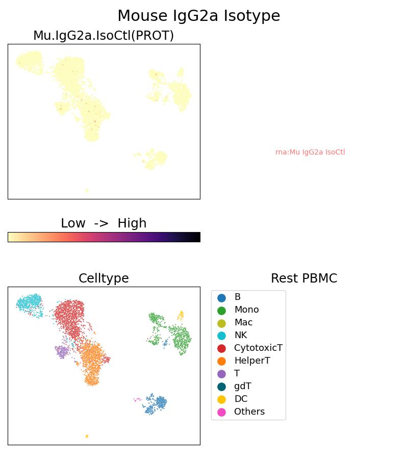 Single Cell Sequencing experiment G66360-2-5C on Resting PBMC