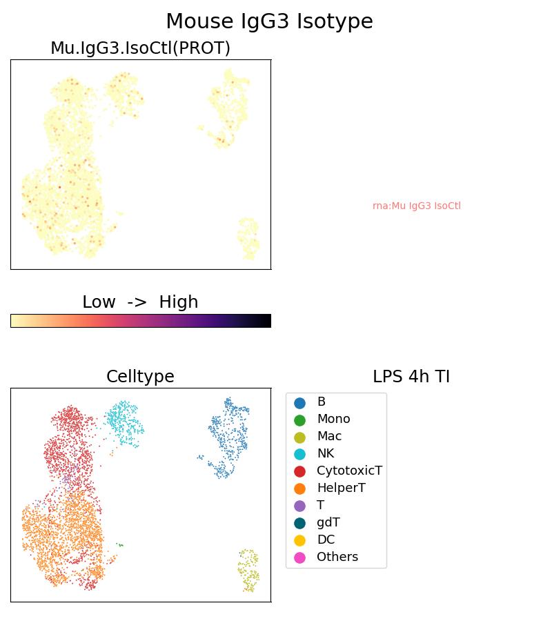 Single Cell Sequencing experiment G66360-4-5C on PBMC treated with 4hr LPS + TI