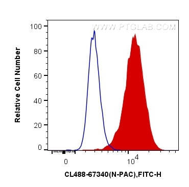 Flow cytometry (FC) experiment of HeLa cells using CoraLite® Plus 488-conjugated N-PAC Monoclonal ant (CL488-67340)