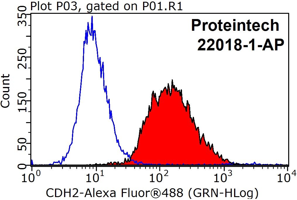 Flow cytometry (FC) experiment of SH-SY5Y cells using N-cadherin Polyclonal antibody (22018-1-AP)