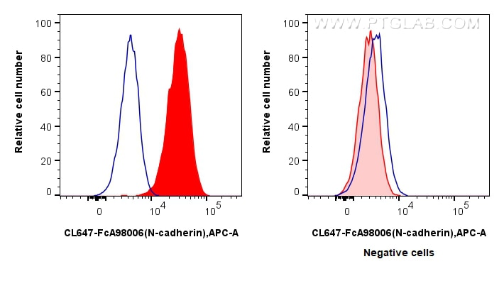 FC experiment of HeLa using CL647-FcA98006 Flow cytometry (FC) experiment of HeLa cells using FcZero-rAb® CoraLite® Plus 647 Anti-Human N-cadher (CL647-FcA98006)