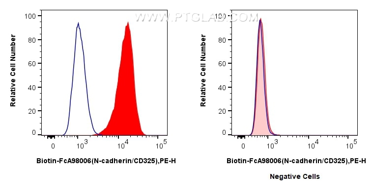 Flow cytometry (FC) experiment of HeLa cells using FcZero-rAb® Biotin Anti-Human N-cadherin/CD325 Rab (Biotin-FcA98006)
