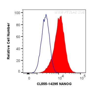 Flow cytometry (FC) experiment of NCCIT cells using CoraLite® Plus 555-conjugated NANOG Polyclonal ant (CL555-14295)