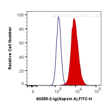 Flow cytometry (FC) experiment of A549 cells using Napsin A Monoclonal antibody (60259-2-Ig)
