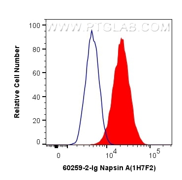 Flow cytometry (FC) experiment of HUVEC cells using Napsin A Monoclonal antibody (60259-2-Ig)