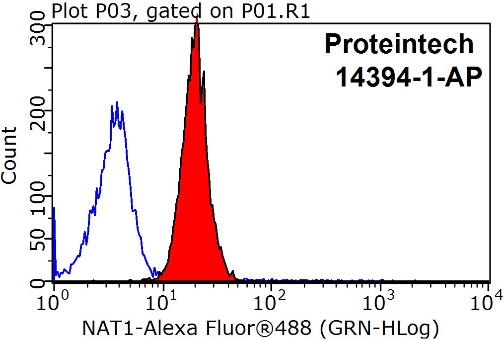 Flow cytometry (FC) experiment of MCF-7 cells using NAT1 Polyclonal antibody (14394-1-AP)