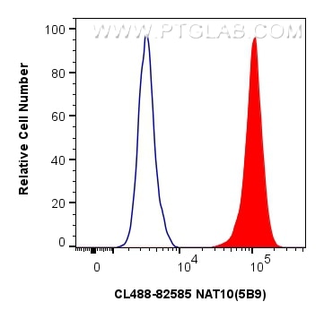 Flow cytometry (FC) experiment of HeLa cells using CoraLite® Plus 488-conjugated NAT10 Recombinant an (CL488-82585)
