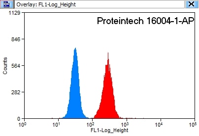 Flow cytometry (FC) experiment of HeLa cells using NBR1 Polyclonal antibody (16004-1-AP)