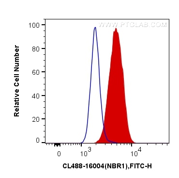 Flow cytometry (FC) experiment of HeLa cells using CoraLite® Plus 488-conjugated NBR1 Polyclonal anti (CL488-16004)