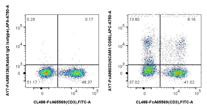 FC experiment of human PBMCs using AY7-FcA98033 Flow cytometry (FC) experiment of human PBMCs using FcZero-rAb® APC-Cyanine7 Anti-Human NCAM1/CD56 Rab (AY7-FcA98033)