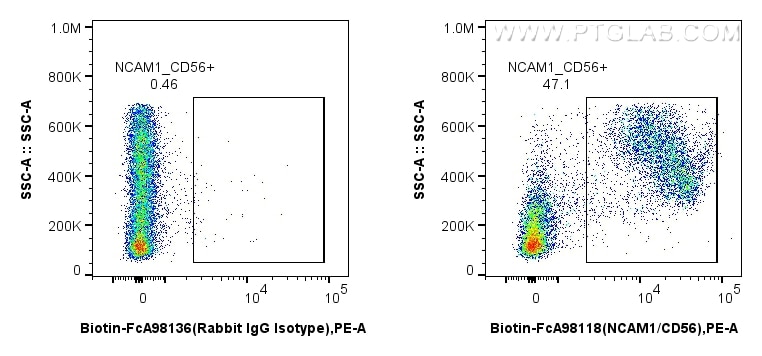 FC experiment of mouse bone marrow cells using Biotin-FcA98118 Flow cytometry (FC) experiment of mouse bone marrow cells using FcZero-rAb™ Biotin Anti-Mouse NCAM1/CD56 Rabbit Re (Biotin-FcA98118)