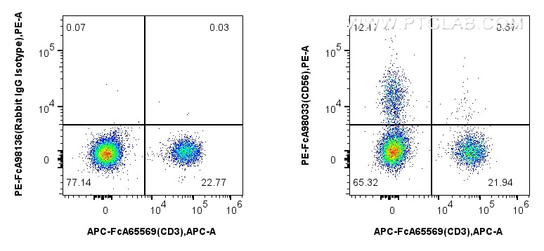 Flow cytometry (FC) experiment of human peripheral blood leukocyte using FcZero-rAb™ PE Anti-Human NCAM1/CD56 Rabbit Recomb (PE-FcA98033)
