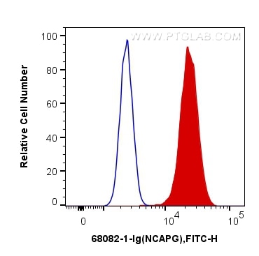 Flow cytometry (FC) experiment of U2OS cells using NCAPG Monoclonal antibody (68082-1-Ig)