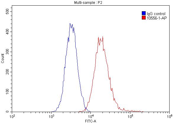 Flow cytometry (FC) experiment of HeLa cells using NCL Polyclonal antibody (10556-1-AP)