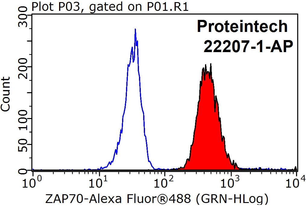 Flow cytometry (FC) experiment of Raji cells using SRC-3/AIB1 Polyclonal antibody (22707-1-AP)