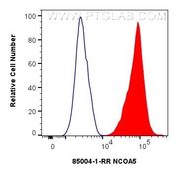 Flow cytometry (FC) experiment of HEK-293 cells using NCOA5 Recombinant antibody (85004-1-RR)