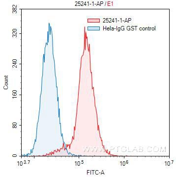 FC experiment of HeLa using 25241-1-AP