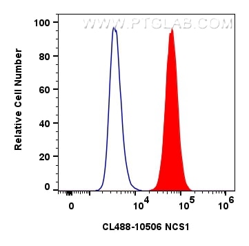 Flow cytometry (FC) experiment of SH-SY5Y cells using CoraLite® Plus 488-conjugated NCS1 Polyclonal anti (CL488-10506)