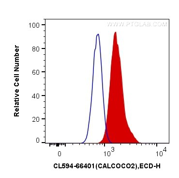 Flow cytometry (FC) experiment of Jurkat cells using CoraLite®594-conjugated NDP52 Monoclonal antibody (CL594-66401)