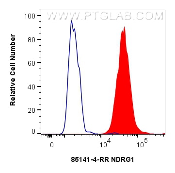 Flow cytometry (FC) experiment of HeLa cells using NDRG1 Recombinant antibody (85141-4-RR)