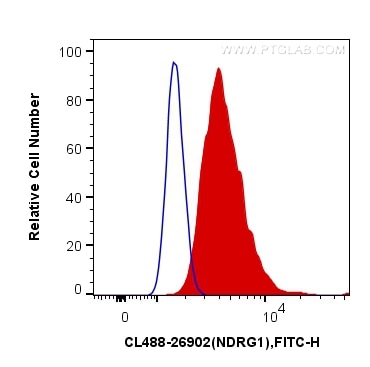 Flow cytometry (FC) experiment of HeLa cells using CoraLite® Plus 488-conjugated NDRG1 Polyclonal ant (CL488-26902)