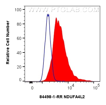 Flow cytometry (FC) experiment of HeLa cells using NDUFA4L2 Recombinant monoclonal antibody (84498-1-RR)