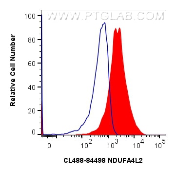 Flow cytometry (FC) experiment of HeLa cells using CoraLite® Plus 488-conjugated NDUFA4L2 Recombinant (CL488-84498)