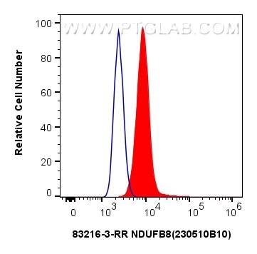 Flow cytometry (FC) experiment of HeLa cells using NDUFB8 Recombinant antibody (83216-3-RR)