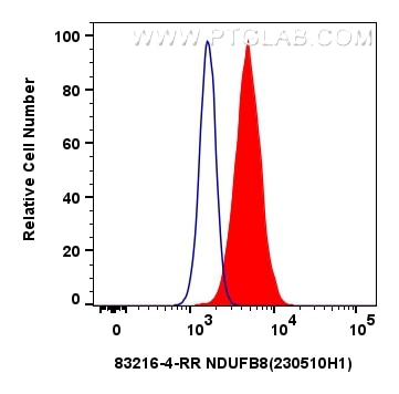 Flow cytometry (FC) experiment of HeLa cells using NDUFB8 Recombinant antibody (83216-4-RR)