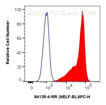 NELFB