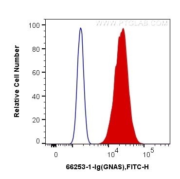 Flow cytometry (FC) experiment of MCF-7 cells using GNAS Monoclonal antibody (66253-1-Ig)