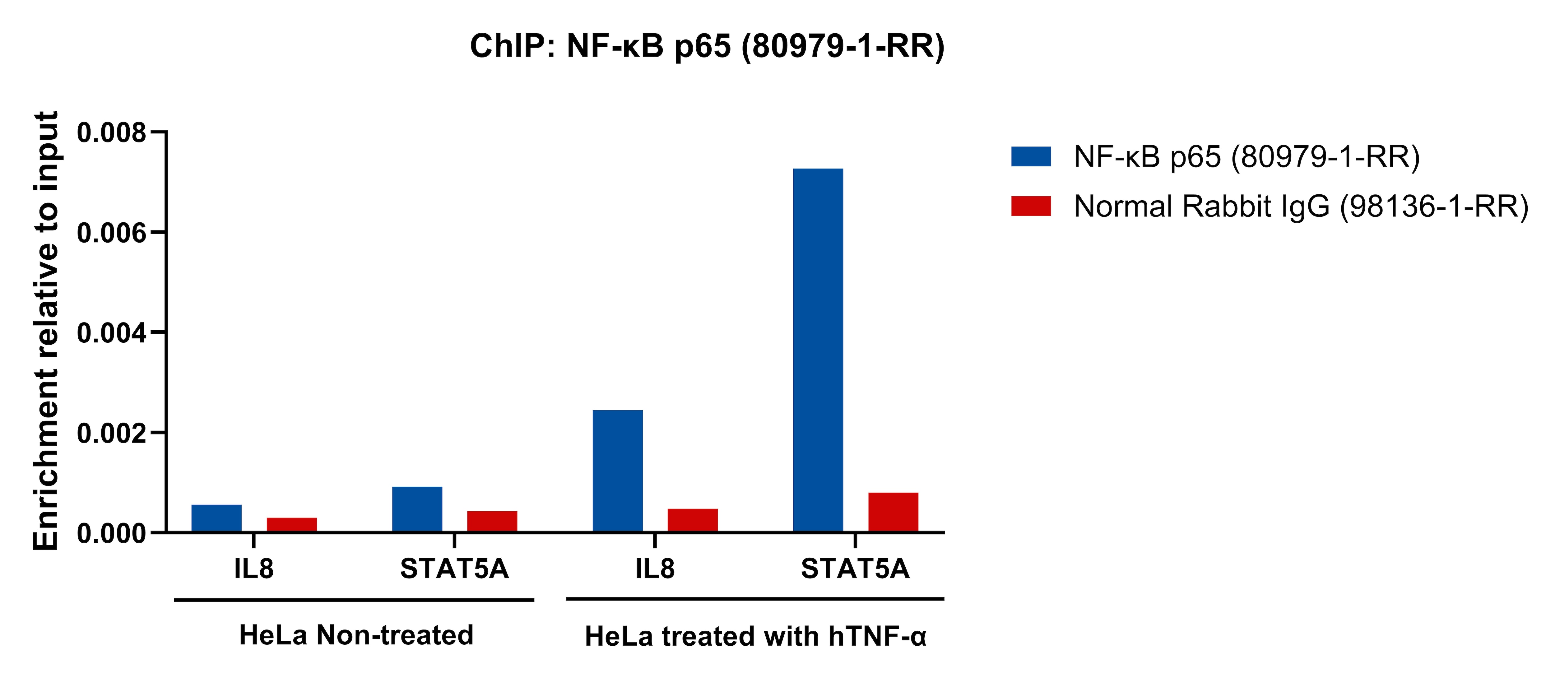 ChIP experiment of HeLa cells using NF-κB p65 Recombinant antibody (80979-1-RR)
