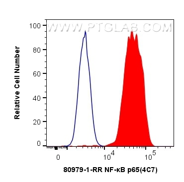 Flow cytometry (FC) experiment of HepG2 cells using NF-κB p65 Recombinant antibody (80979-1-RR)