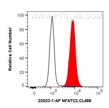 Flow cytometry (FC) experiment of Jurkat cells using NFATC2 Polyclonal antibody (22023-1-AP)