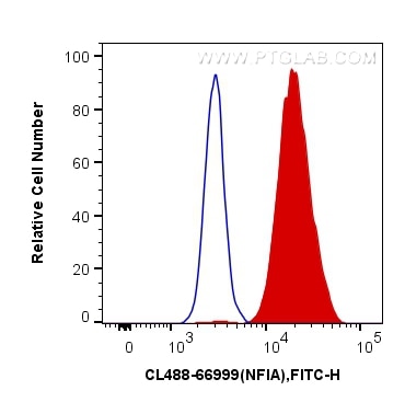 Flow cytometry (FC) experiment of HeLa cells using CoraLite® Plus 488-conjugated NFIA Monoclonal anti (CL488-66999)