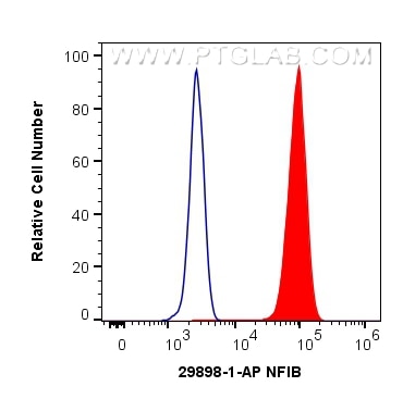 FC experiment of HeLa using 29898-1-AP