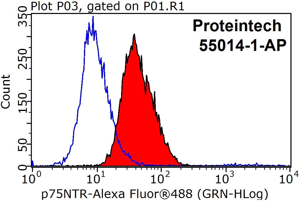 Flow cytometry (FC) experiment of SH-SY5Y cells using p75NTR Polyclonal antibody (55014-1-AP)
