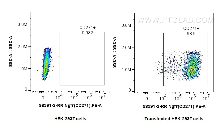Flow cytometry (FC) experiment of Transfected HEK-293T cells using Anti-Mouse NGFR/TNFRSF16 Rabbit Recombinant Antibo (98391-2-RR)