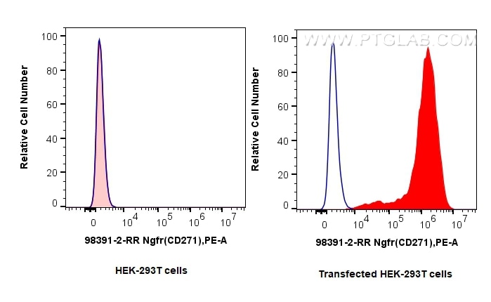 Flow cytometry (FC) experiment of Transfected HEK-293T cells using Anti-Mouse NGFR/TNFRSF16 Rabbit Recombinant Antibo (98391-2-RR)